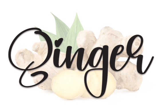 Ginger: A Fresh Handwritten Font for Modern Branding Projects