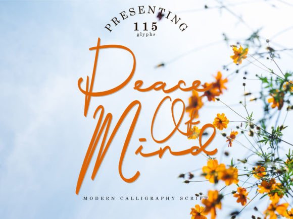 Peace of Mind: A Designer’s Take on Script Amp’s Stylish Script