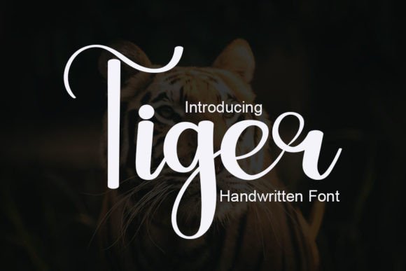 Tiger: A Handwritten Font That Elevates Campaign Typography